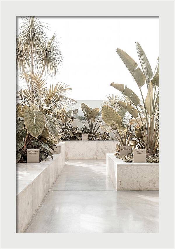Tropical Botanical Oasis