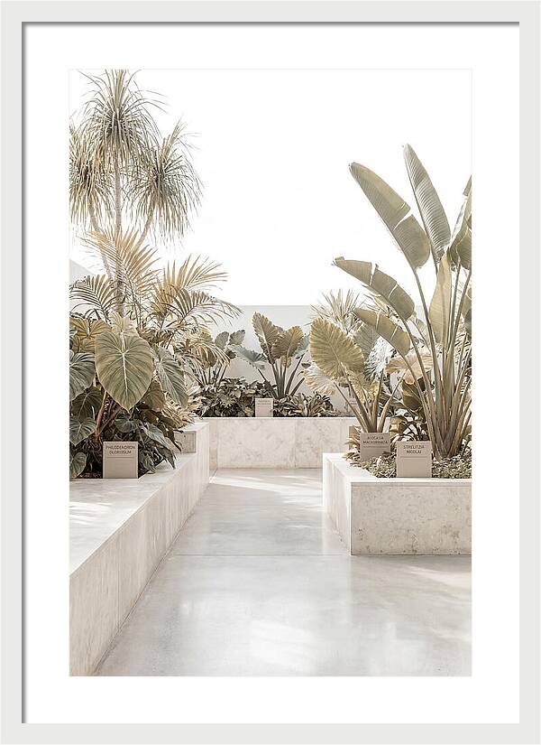 Tropical Botanical Oasis