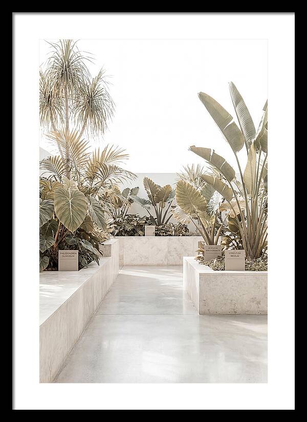 Tropical Botanical Oasis