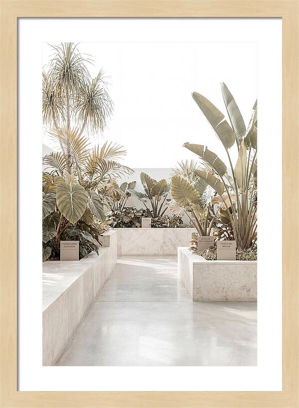 Tropical Botanical Oasis
