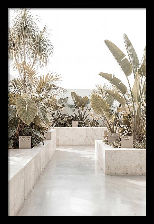 Tropical Botanical Oasis
