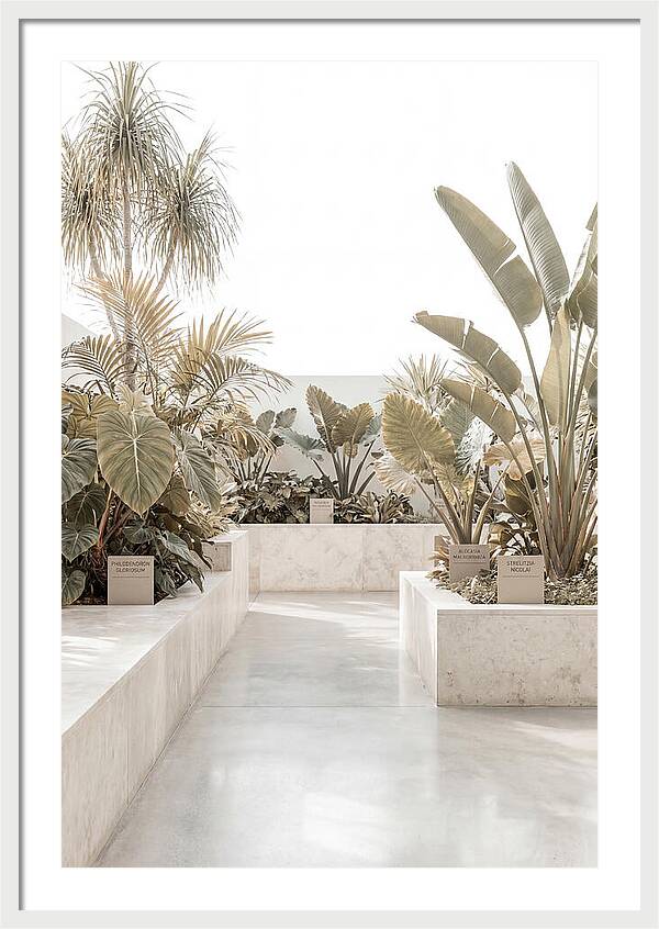 Tropical Botanical Oasis
