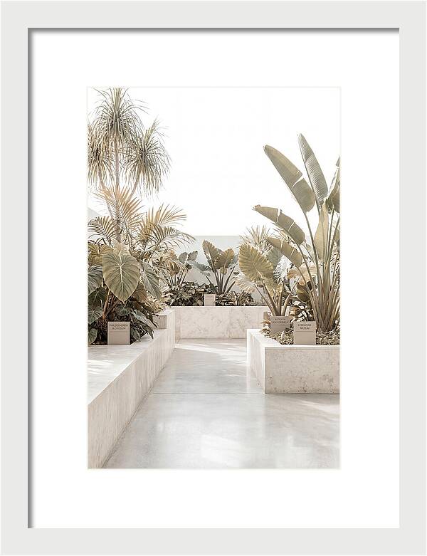 Tropical Botanical Oasis