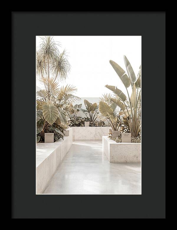 Tropical Botanical Oasis