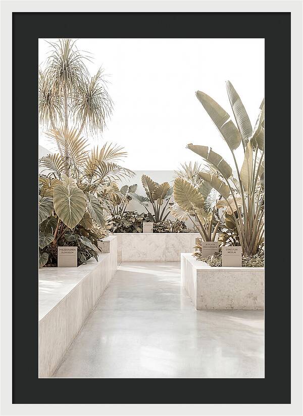 Tropical Botanical Oasis