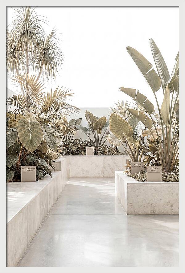 Tropical Botanical Oasis
