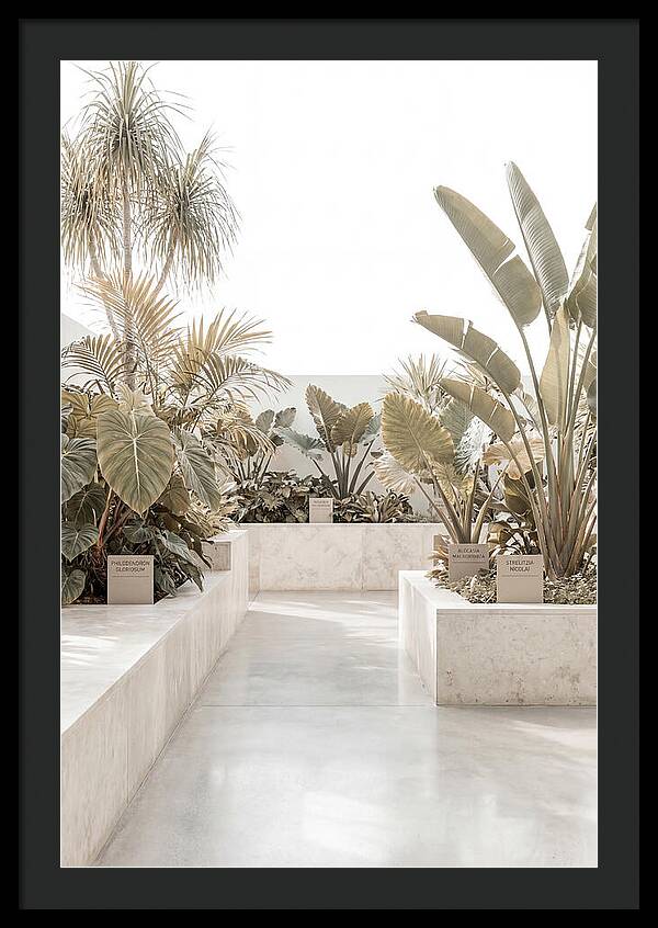 Tropical Botanical Oasis