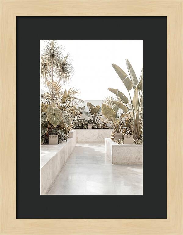 Tropical Botanical Oasis