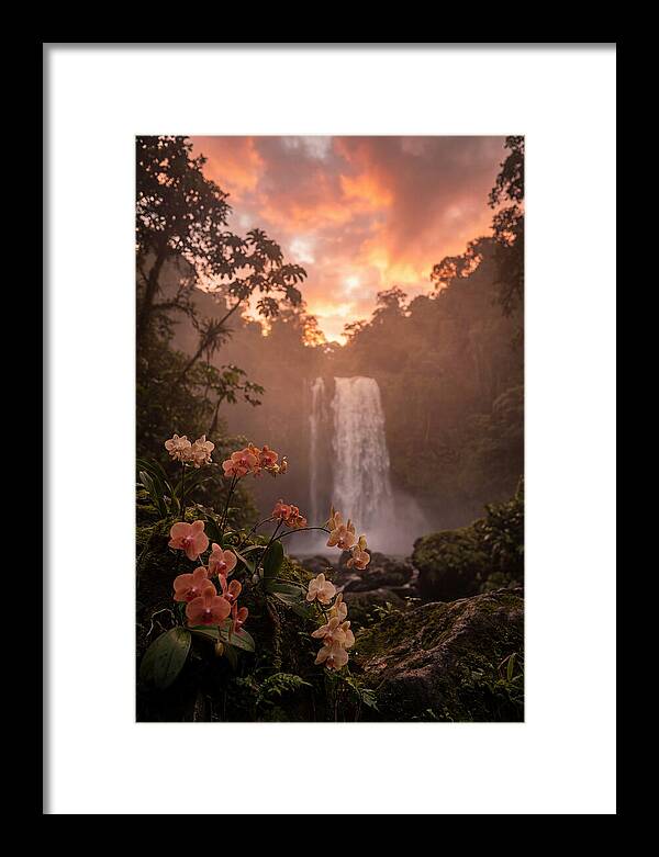 Tropical Cascade Tranquility