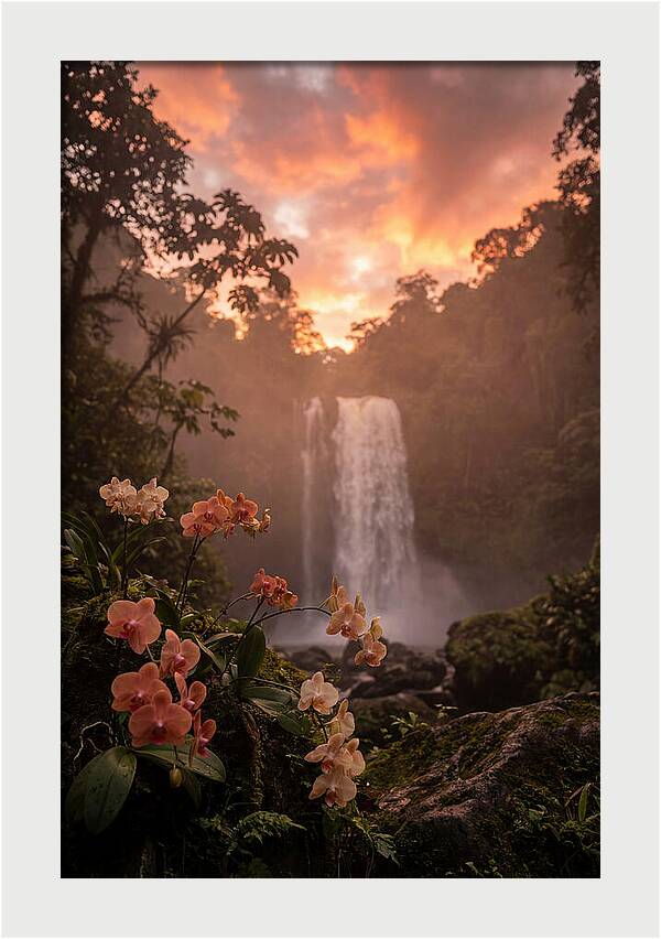Tropical Cascade Tranquility