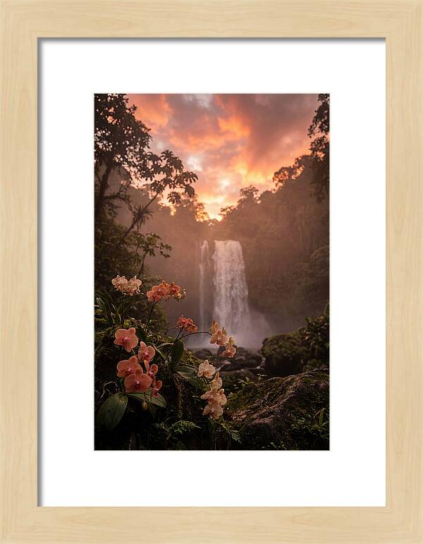 Tropical Cascade Tranquility