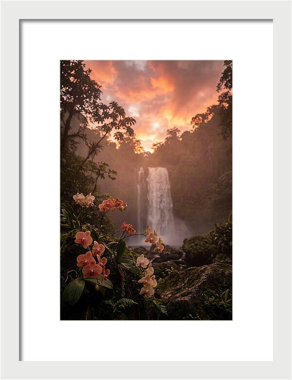 Tropical Cascade Tranquility