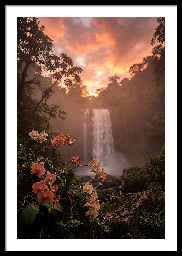 Tropical Cascade Tranquility