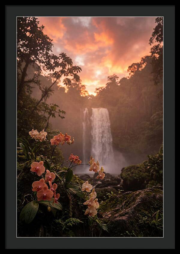 Tropical Cascade Tranquility