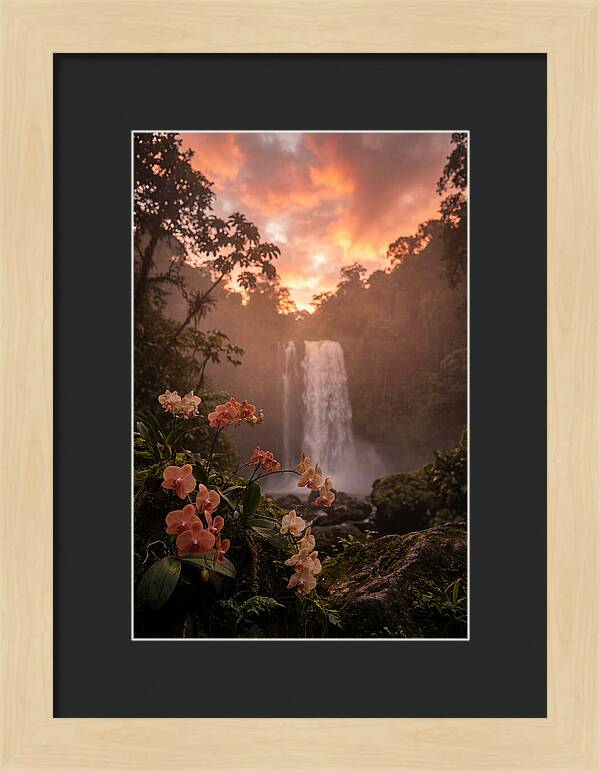 Tropical Cascade Tranquility