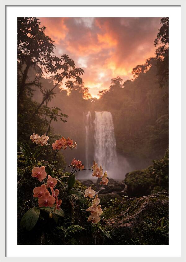 Tropical Cascade Tranquility