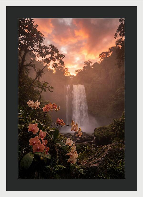 Tropical Cascade Tranquility