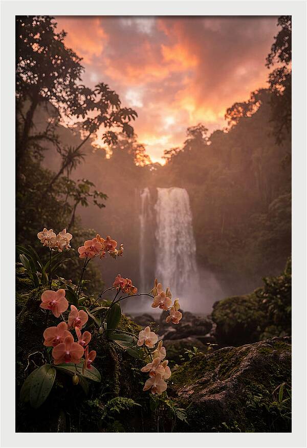 Tropical Cascade Tranquility