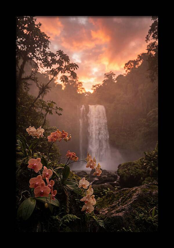 Tropical Cascade Tranquility