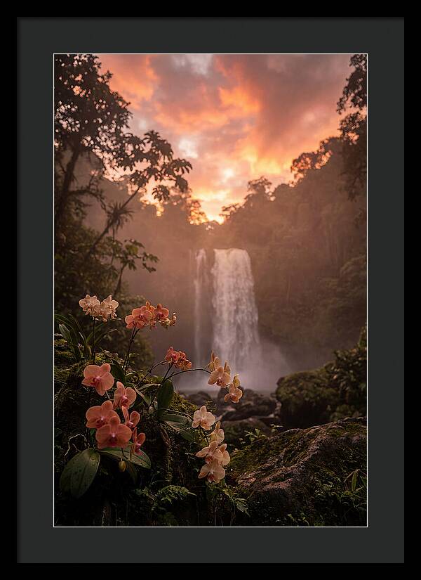 Tropical Cascade Tranquility