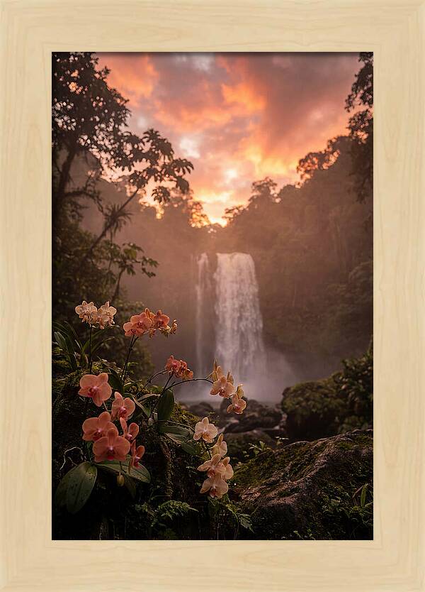 Tropical Cascade Tranquility