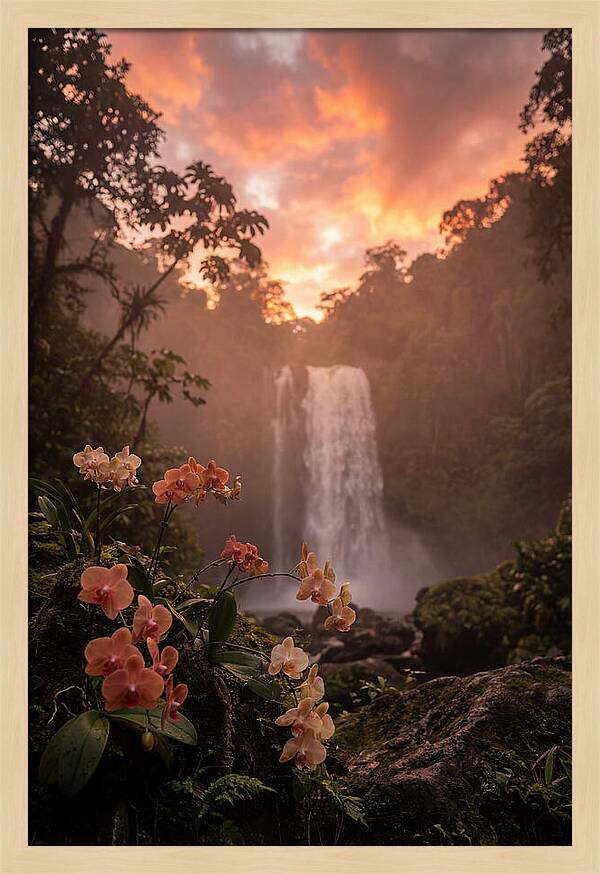 Tropical Cascade Tranquility