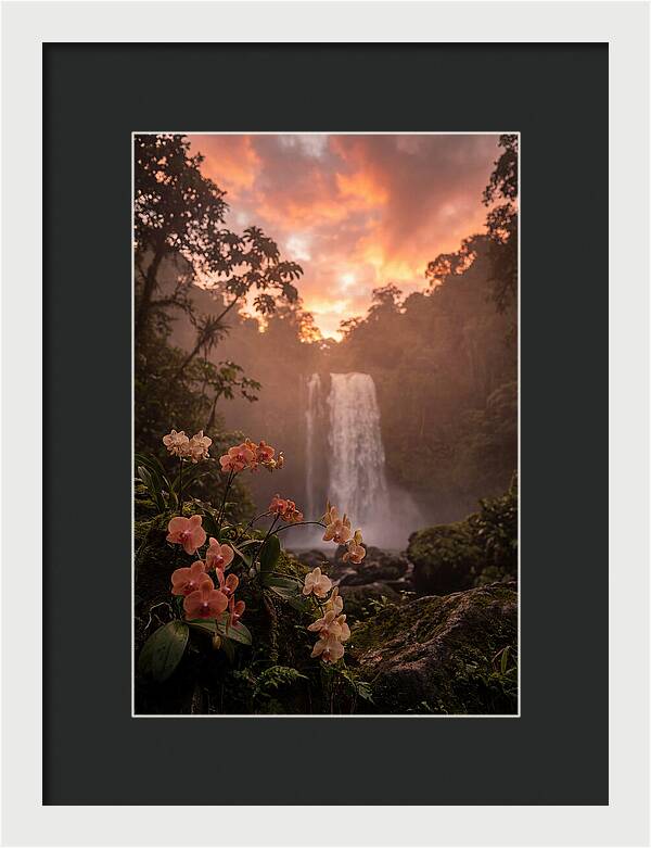 Tropical Cascade Tranquility