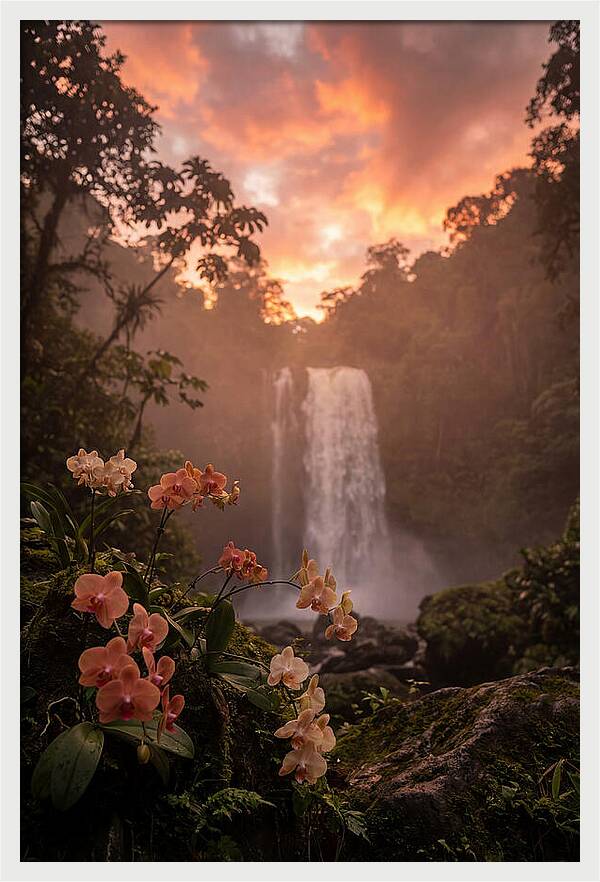 Tropical Cascade Tranquility