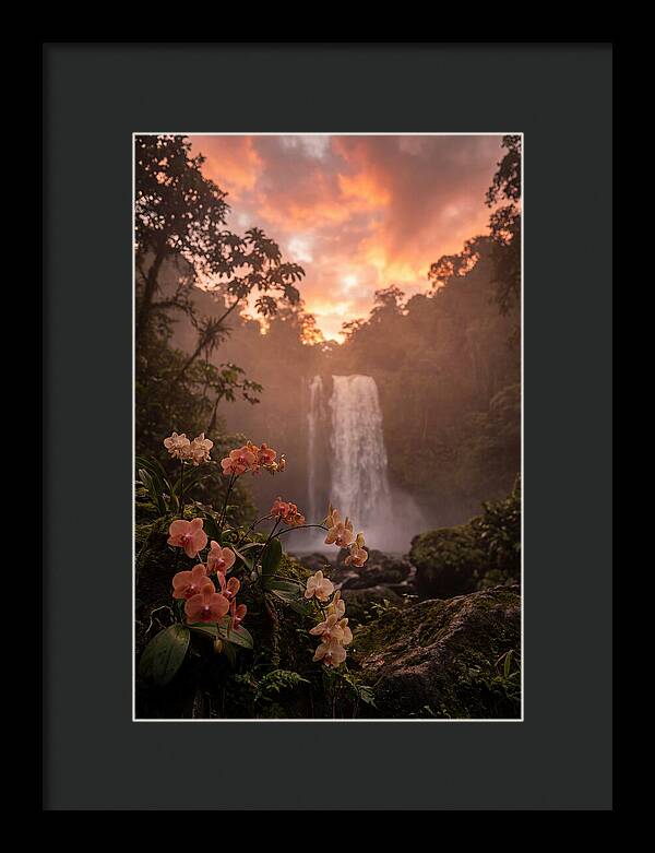 Tropical Cascade Tranquility