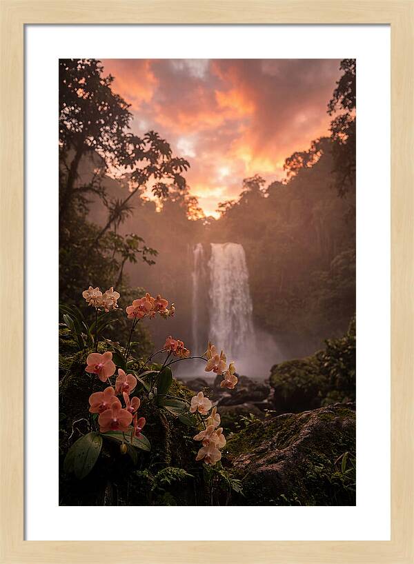 Tropical Cascade Tranquility