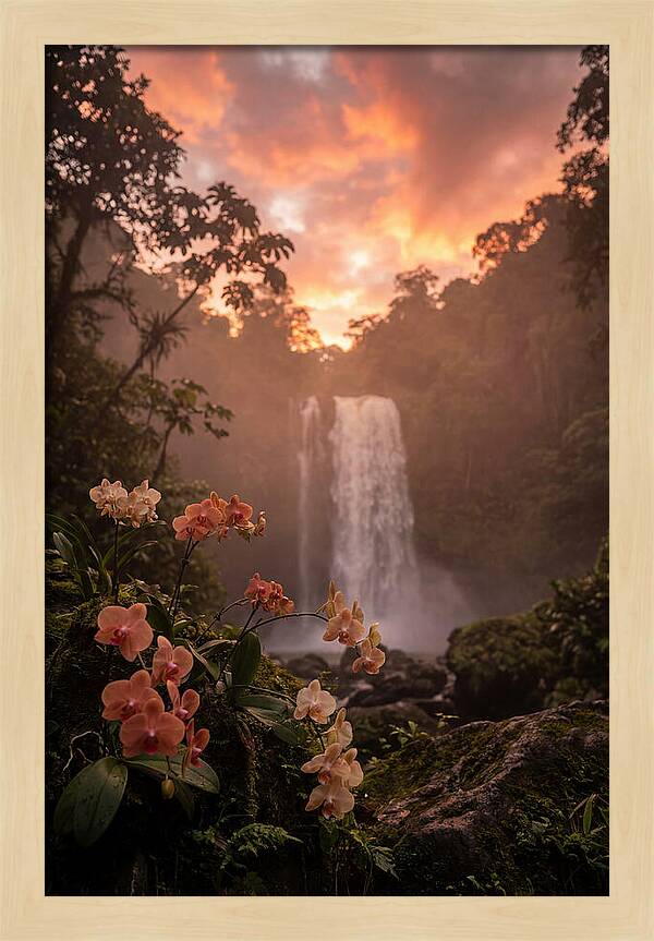 Tropical Cascade Tranquility
