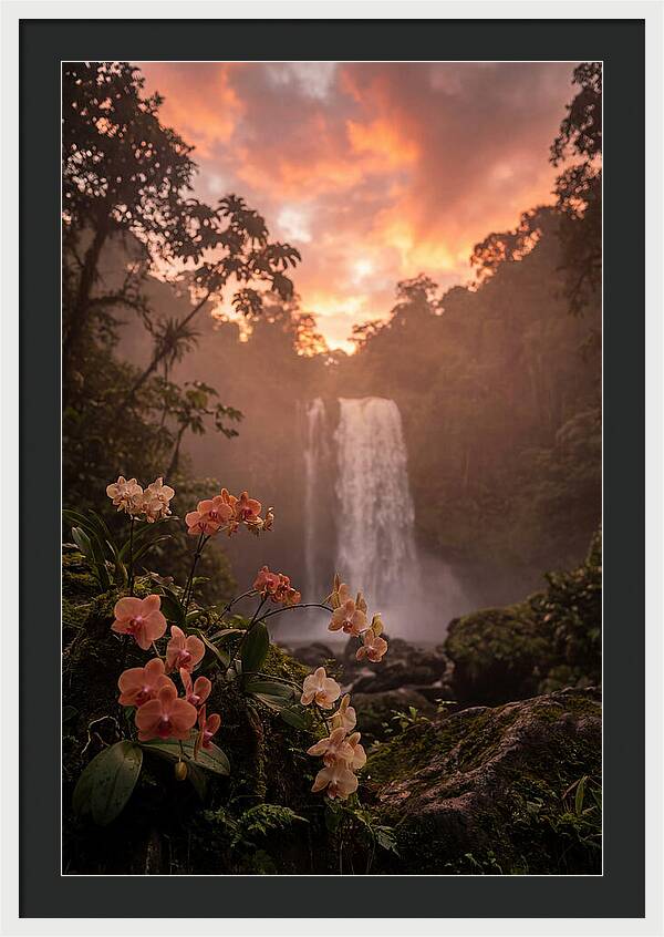 Tropical Cascade Tranquility