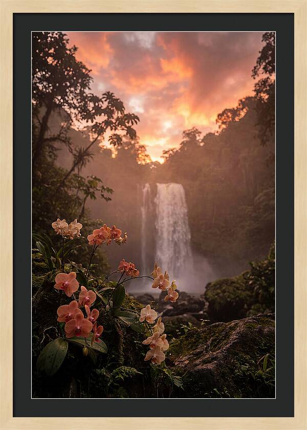 Tropical Cascade Tranquility
