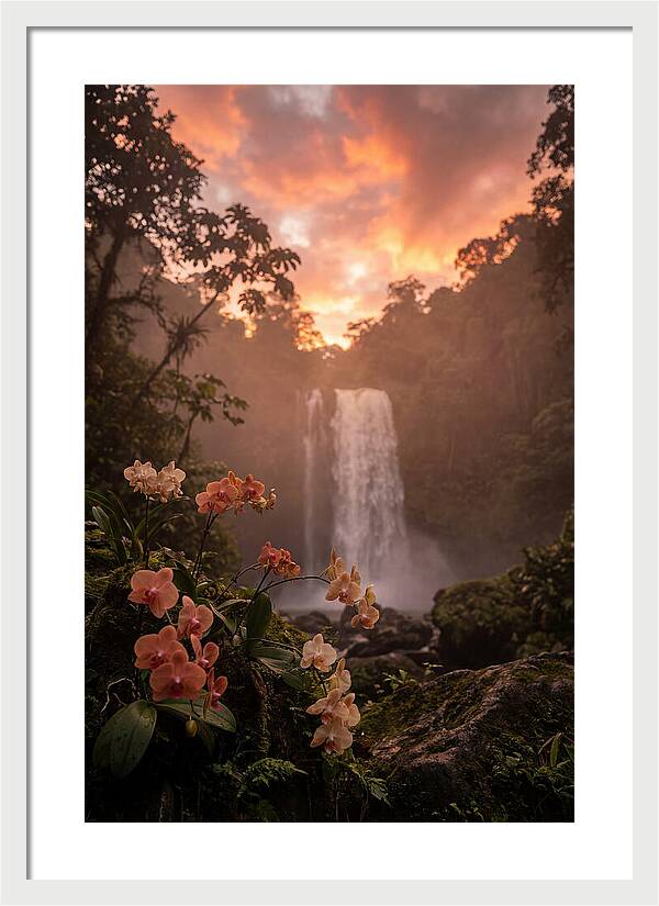 Tropical Cascade Tranquility