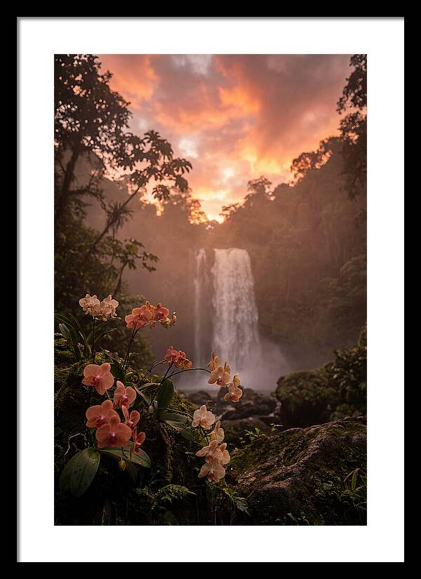 Tropical Cascade Tranquility