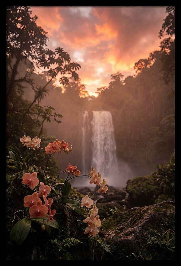 Tropical Cascade Tranquility