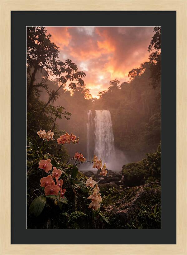 Tropical Cascade Tranquility