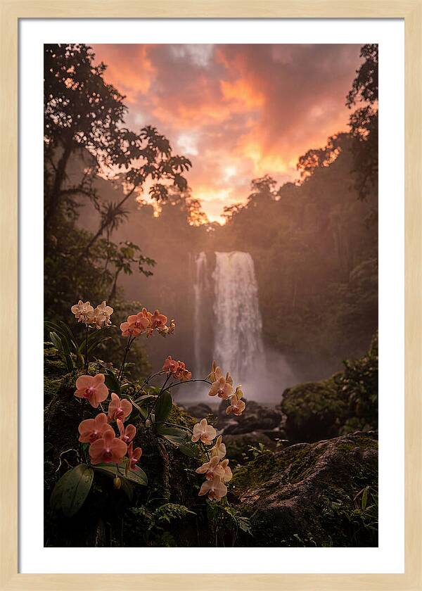 Tropical Cascade Tranquility