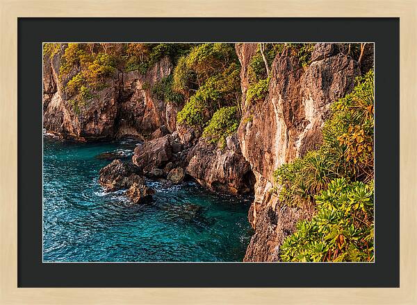 Tropical Cliff Diving Paradise