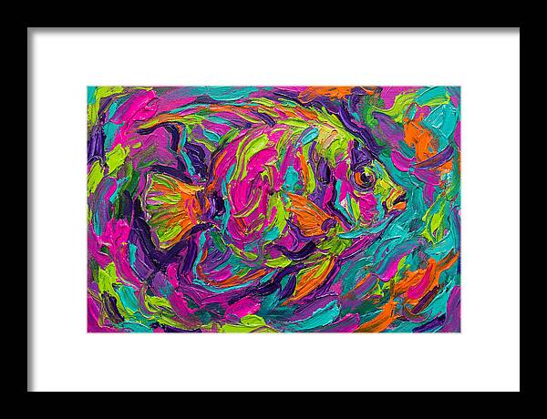 Tropical Fish Delight