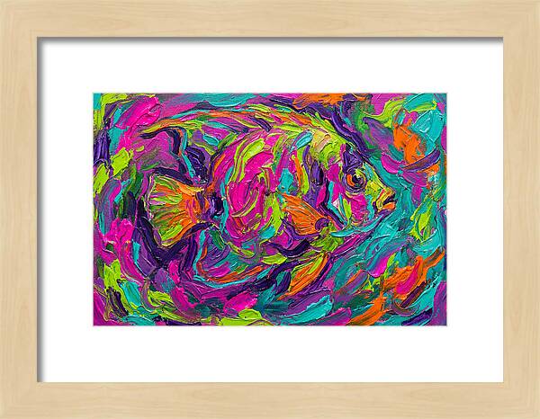 Tropical Fish Delight