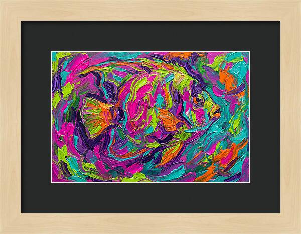 Tropical Fish Delight