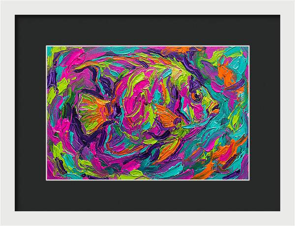 Tropical Fish Delight