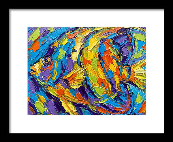 Tropical Fish In Vibrant Colors