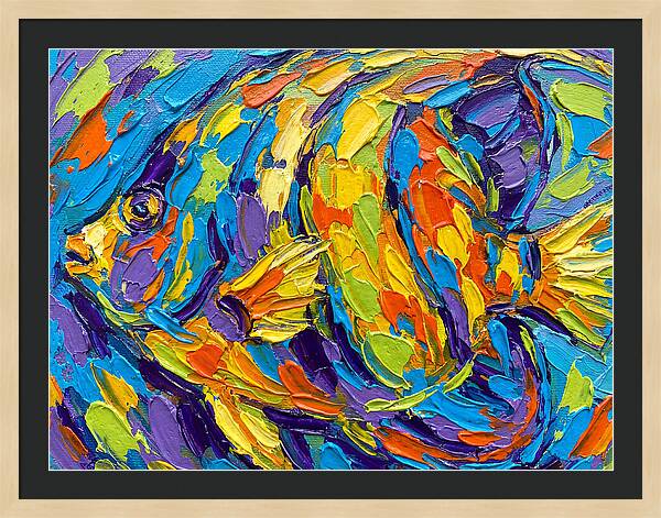 Tropical Fish In Vibrant Colors