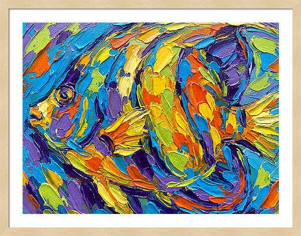Tropical Fish In Vibrant Colors