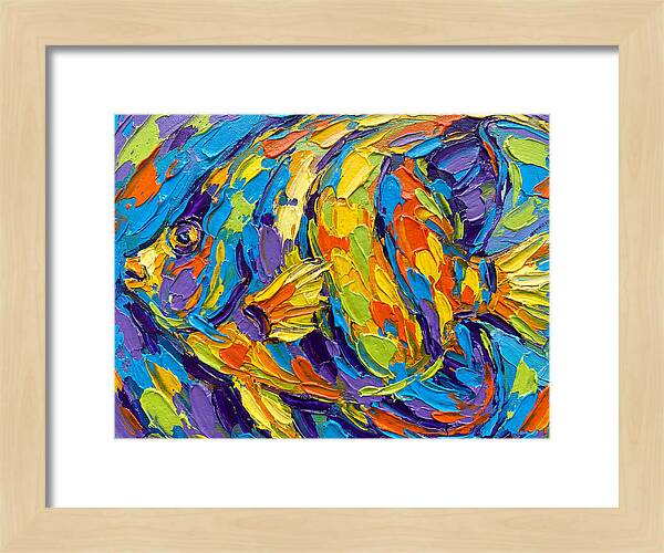 Tropical Fish In Vibrant Colors