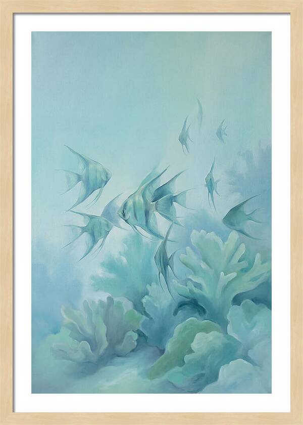 Tropical Fish School Over Coral