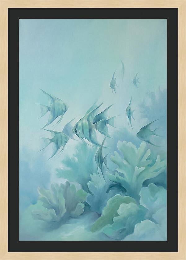 Tropical Fish School Over Coral