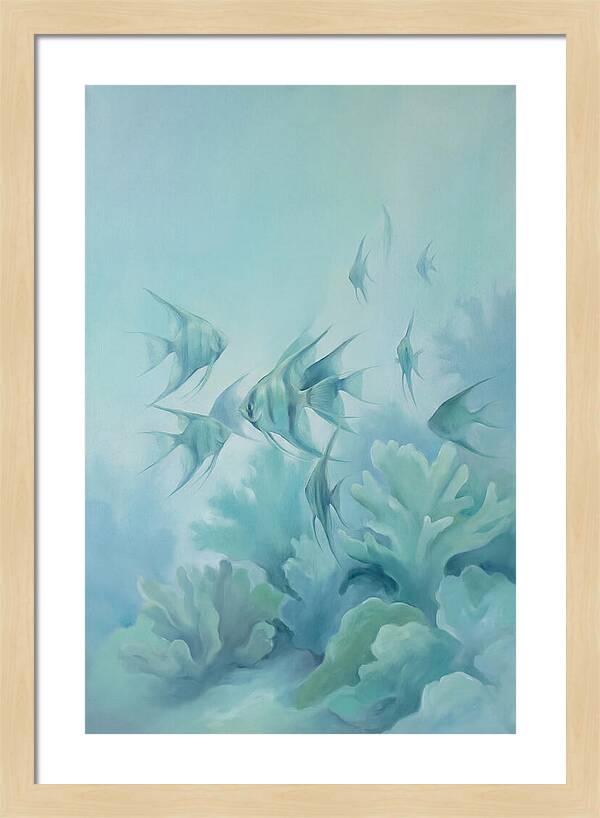 Tropical Fish School Over Coral